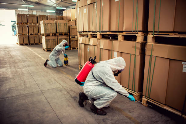 Best Exterminator Services  in Blasdell, NY