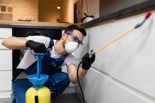 Best Pest Inspection Near Me  in Blasdell, NY