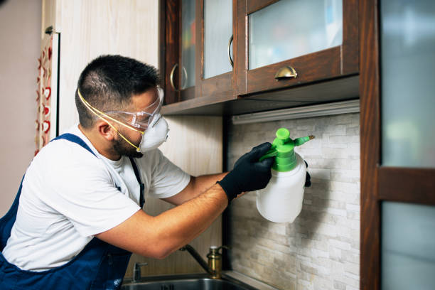 Best Best Pest Control Companies  in Blasdell, NY