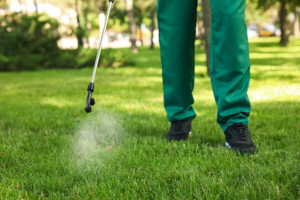 Best Termite Control Services  in Blasdell, NY