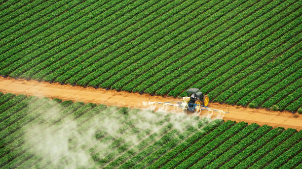 Best Commercial Pest Control Services  in Blasdell, NY