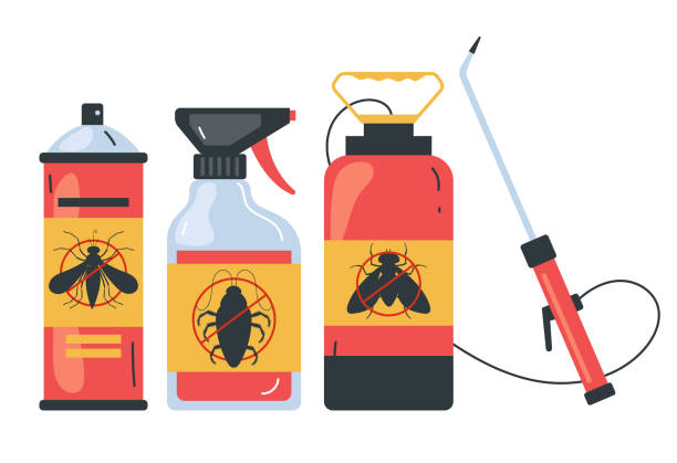 Best Pest Control Near Me in Blasdell, NY
