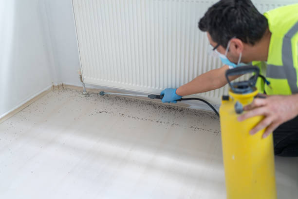 Best Ant Control Services  in Blasdell, NY
