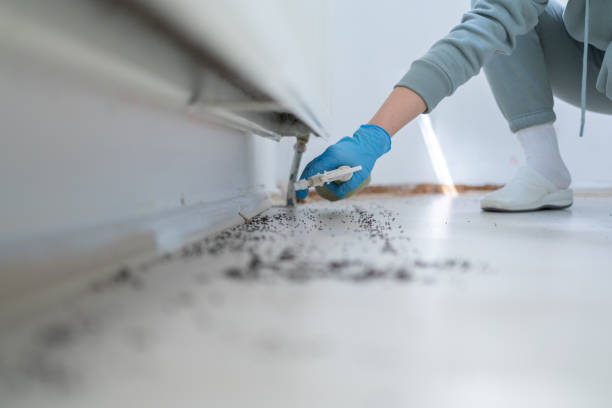 Best Pest Control for Homes  in Blasdell, NY